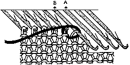 ֯뷨α֯