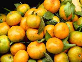 ������Ӧע�⵽�ļ���(ͼ)