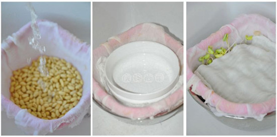 在家里自己发豆芽