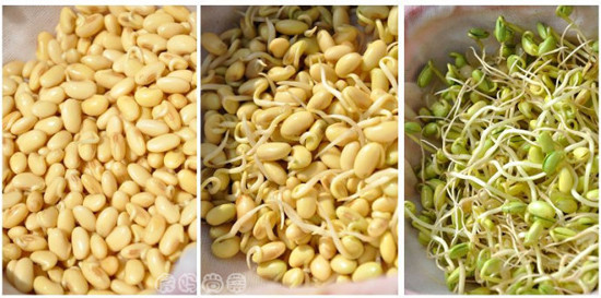 在家里自己发豆芽