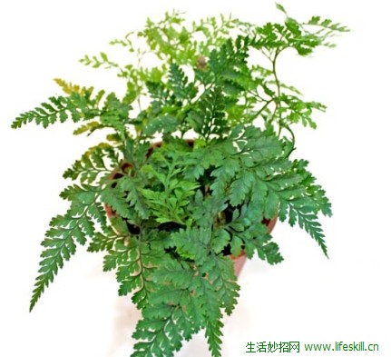 ��βާ�����෽��