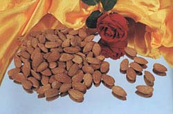 ����̥���23�ֽ�����ʳ