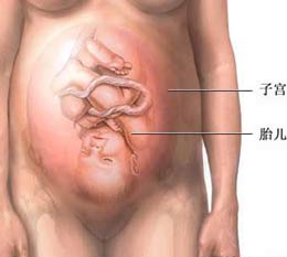 Ů�Է���ֱ��12������