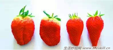 ҩصĲݮɱʶ