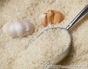 ��������������ô�죿�����ɽ����