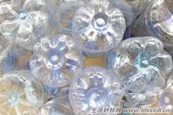 15�����е�С����