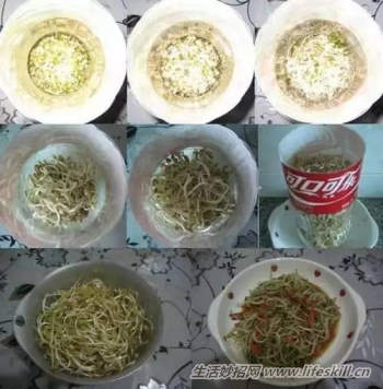 ְֽڼҷѿ