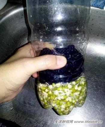 ÿƿѿ