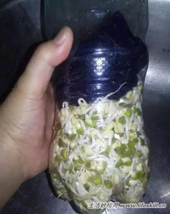 ÿƿѿ