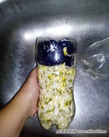 ÿƿѿ