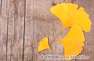 ������Ҷװ��ͷ�ô���