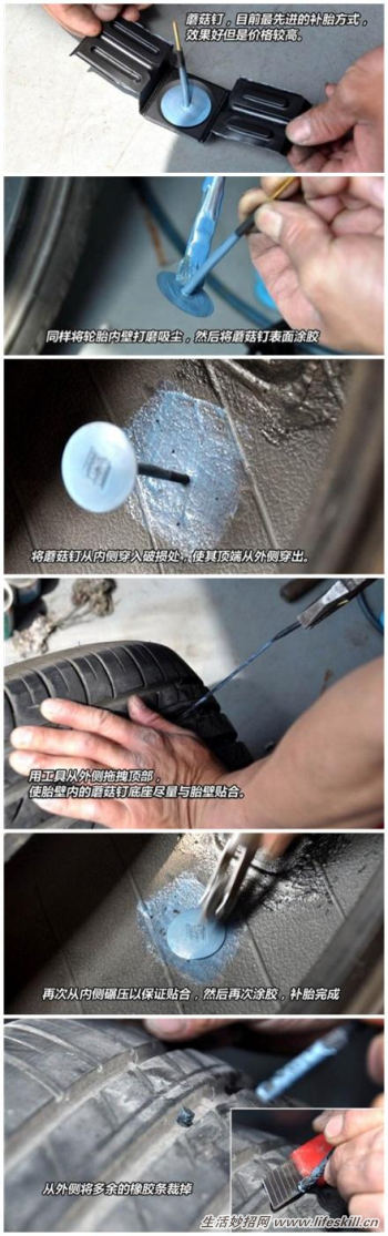 ̥ô죿