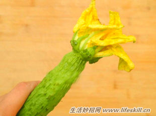 丝瓜的功效及挑选小方法