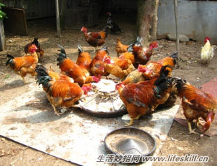 ��������������ĳ�ζ��