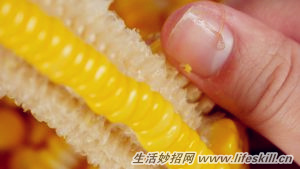 �ɰ�������������