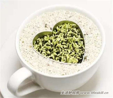 5ֿɰСԣóʣµֳҲ~