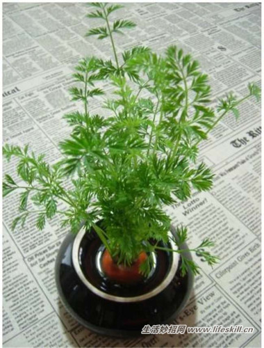 5ֿɰСԣóʣµֳҲ~