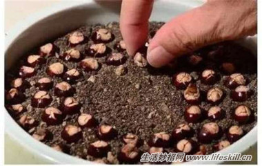 5ֿɰСԣóʣµֳҲ~