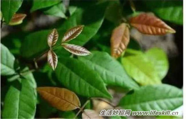 5ֿɰСԣóʣµֳҲ~