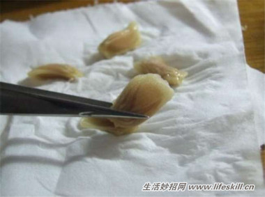 5ֿɰСԣóʣµֳҲ~