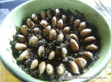 5ֿɰСԣóʣµֳҲ~