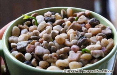 5ֿɰСԣóʣµֳҲ~