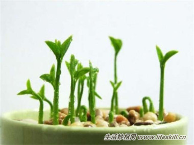 5ֿɰСԣóʣµֳҲ~