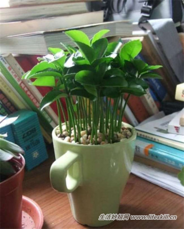 5ֿɰСԣóʣµֳҲ~