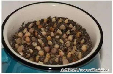 5ֿɰСԣóʣµֳҲ~