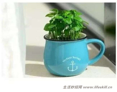 5ֿɰСԣóʣµֳҲ~